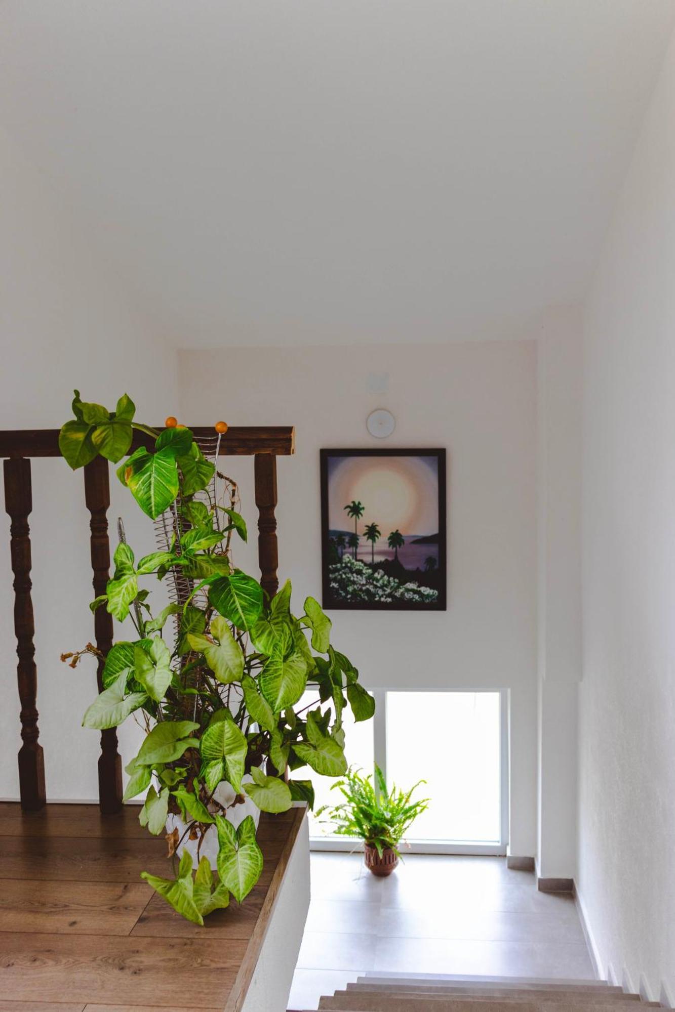 Demetra Apartments オフリド エクステリア 写真